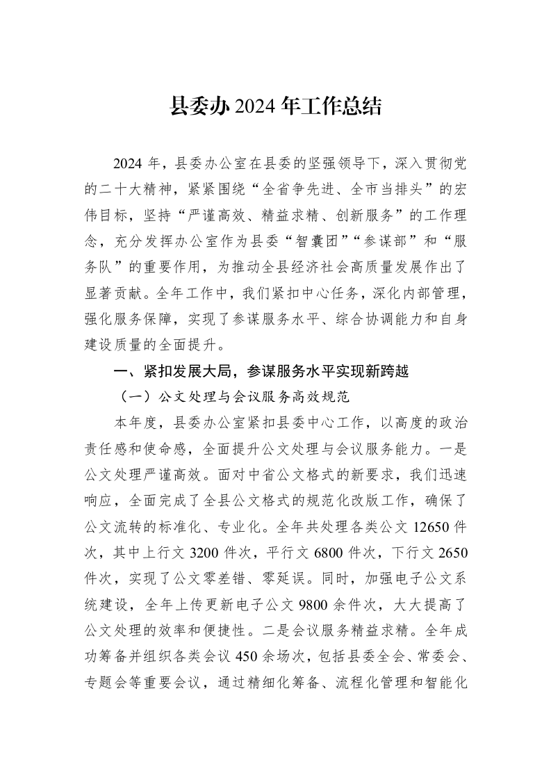 县委办2024年工作总结_第1页