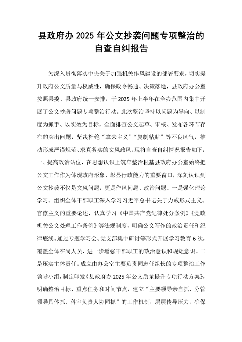 县政府办2025年公文抄袭问题专项整治的自查自纠报告_第1页
