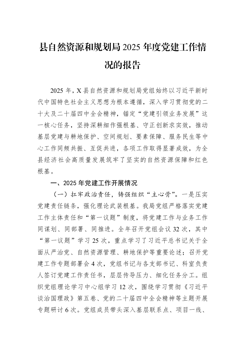县自然资源和规划局2025年度党建工作情况的报告_第1页