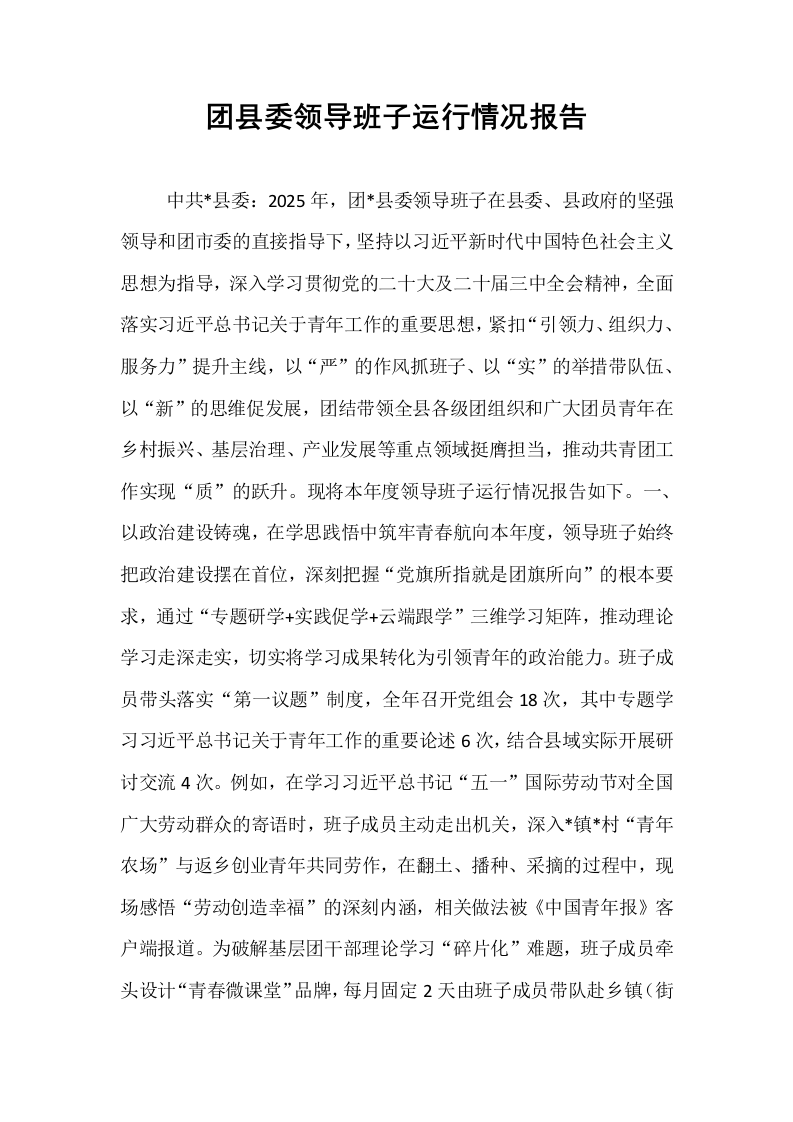 团县委领导班子运行情况报告_第1页
