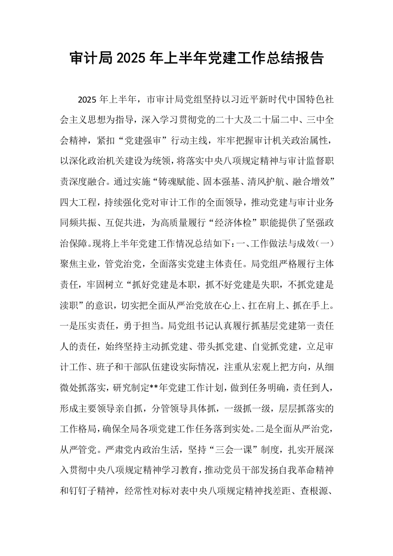 审计局2025年上半年党建工作总结报告_第1页