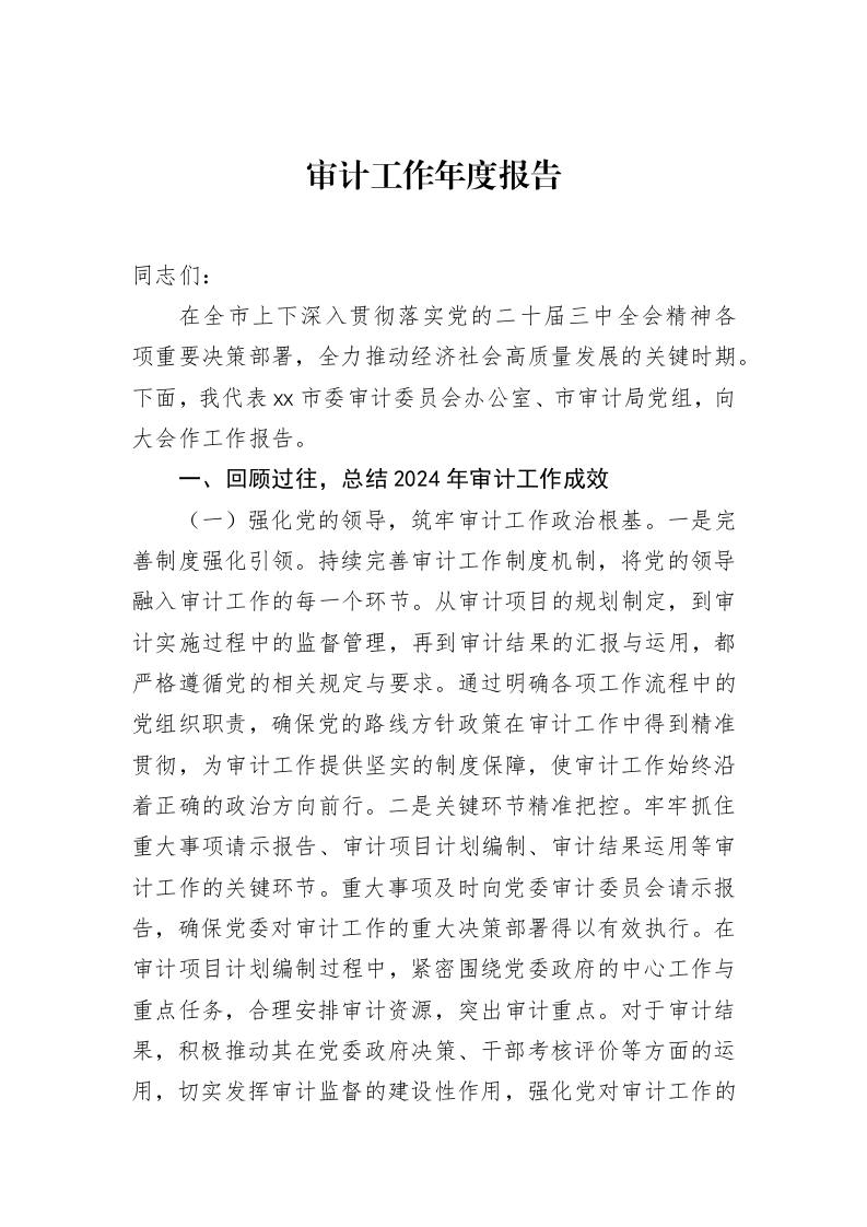 审计工作年度报告_第1页