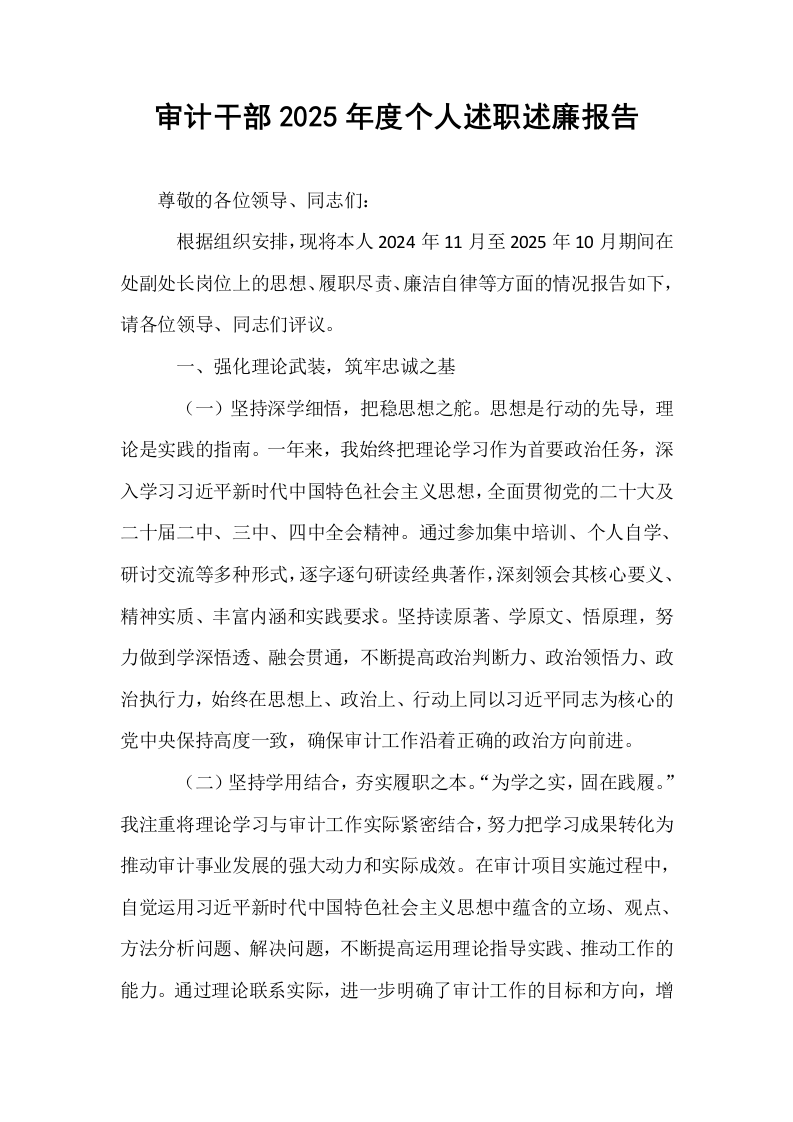 审计干部2025年度个人述职述廉报告_第1页