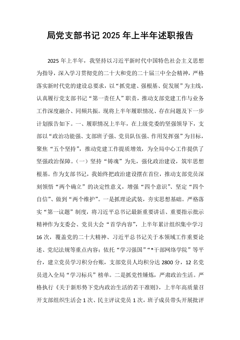 局党支部书记2025年上半年述职报告_第1页