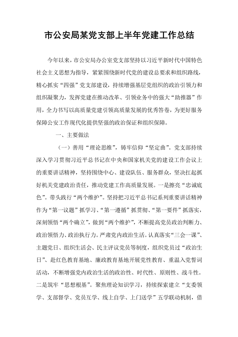 市公安局某党支部上半年党建工作总结_第1页