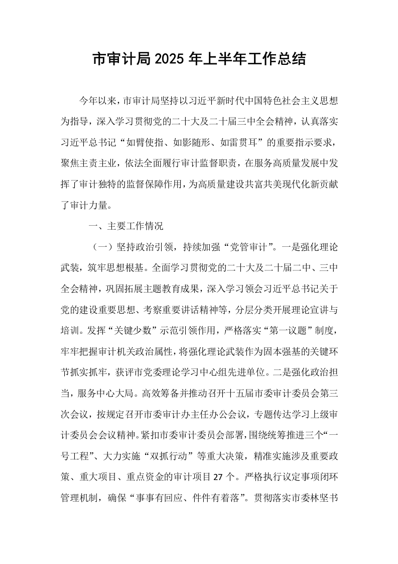 市审计局2025年上半年工作总结_第1页