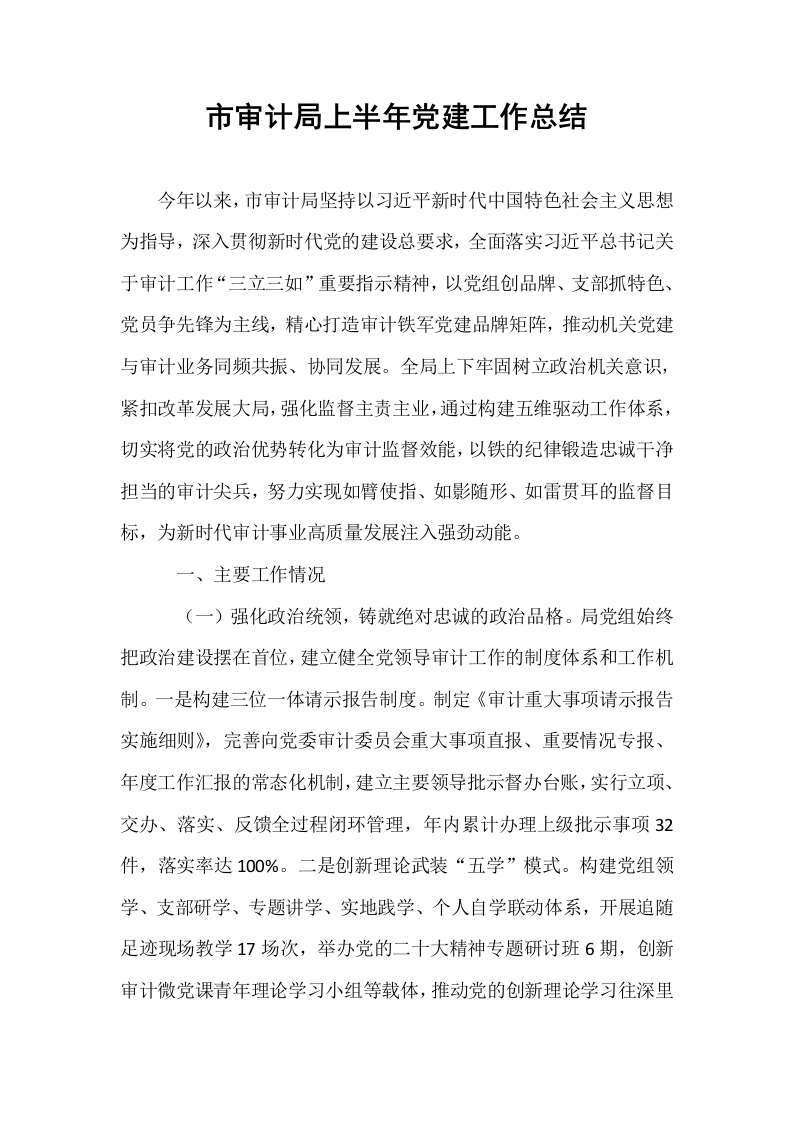 市审计局上半年党建工作总结_第1页