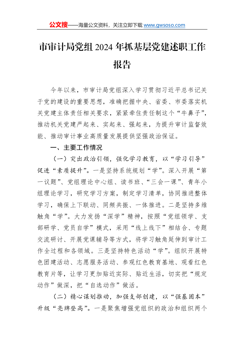 市审计局党组2024年抓基层党建述职工作报告._第1页