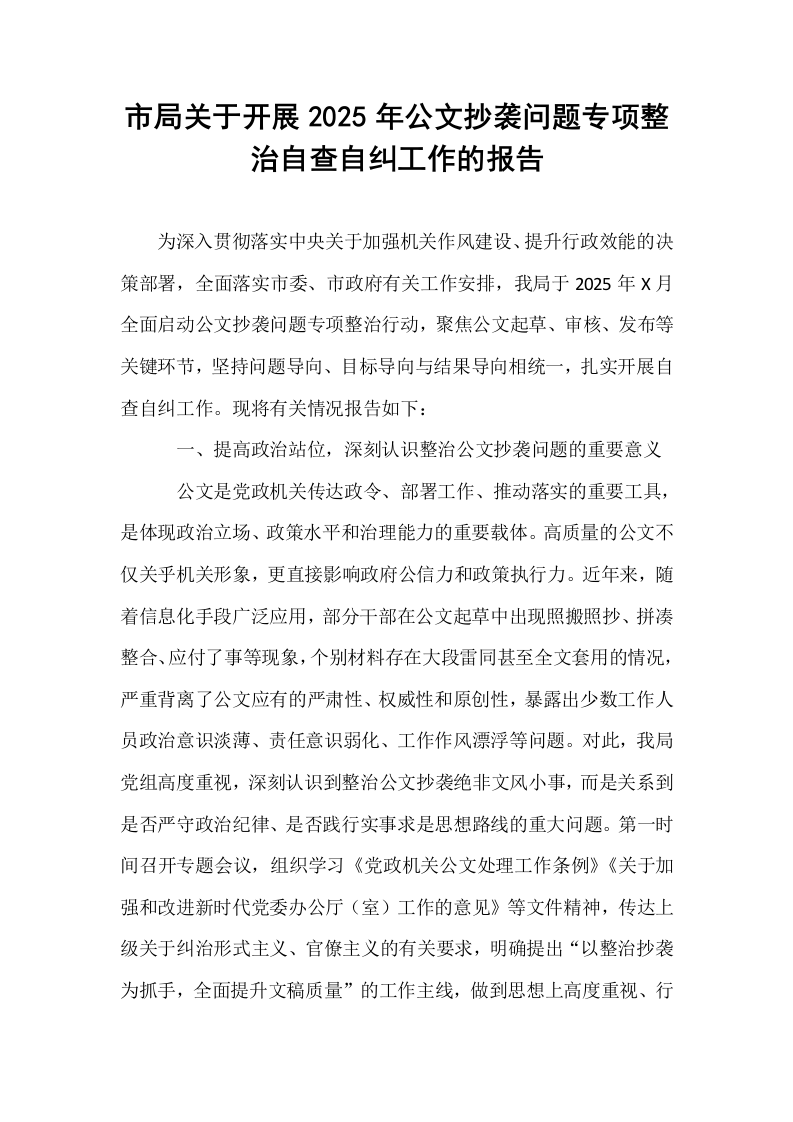 市局关于开展2025年公文抄袭问题专项整治自查自纠工作的报告_第1页