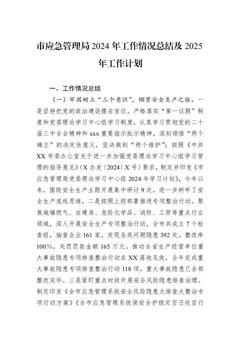 市应急管理局2024年工作情况总结及2025年工作计划 (1)_第1页