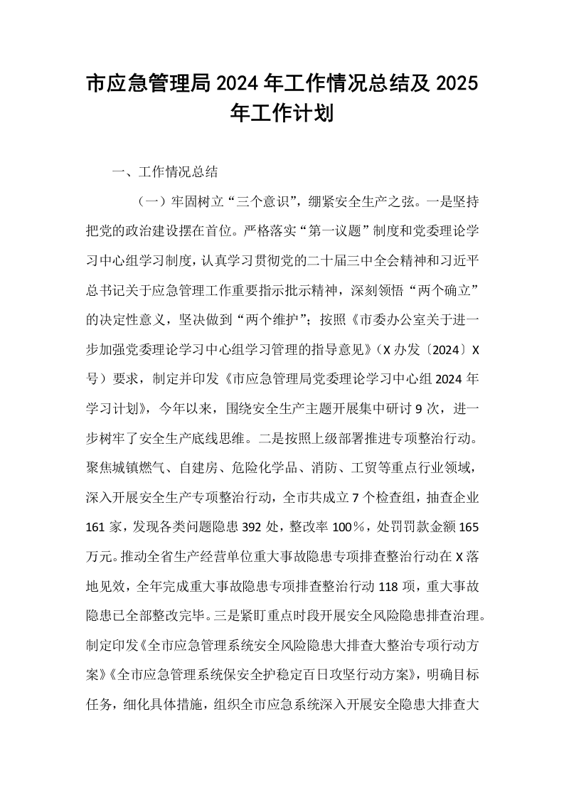 市应急管理局2024年工作情况总结及2025年工作计划_第1页
