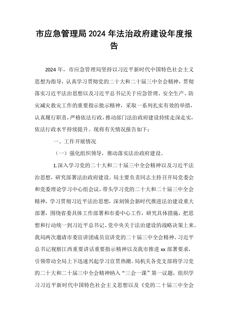 市应急管理局2024年法治政府建设年度报告_第1页