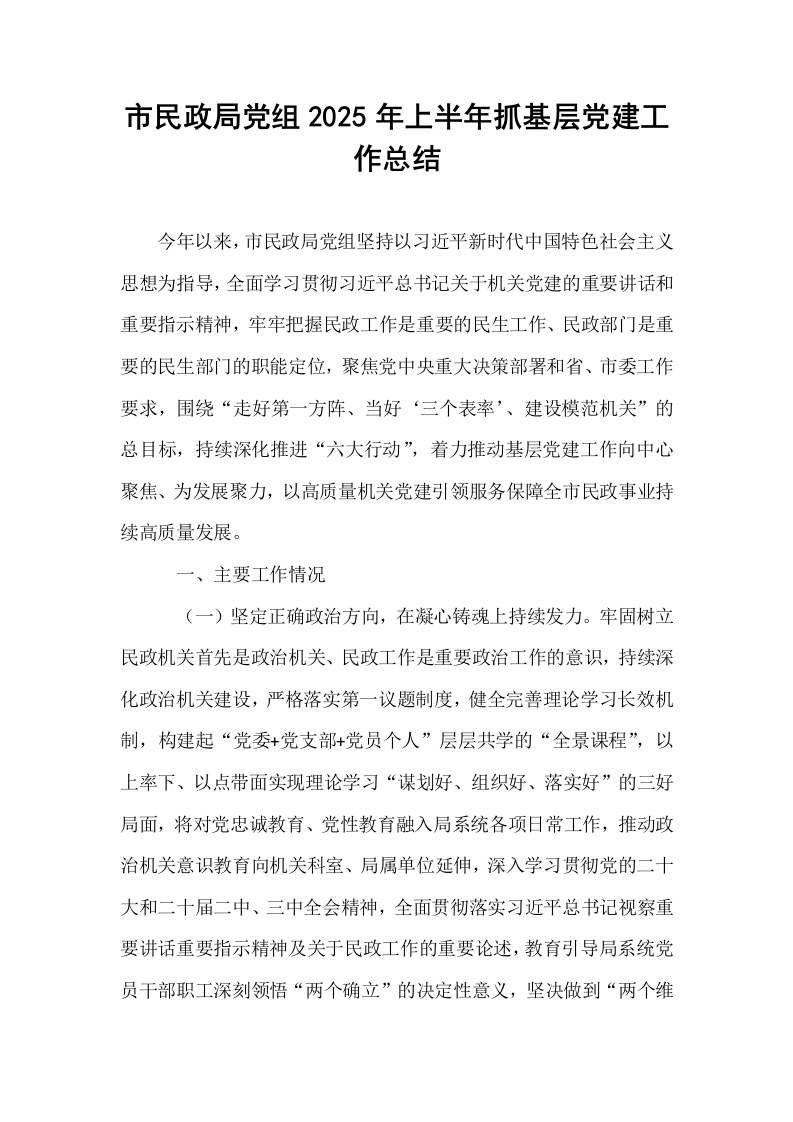 市民政局党组2025年上半年抓基层党建工作总结_第1页