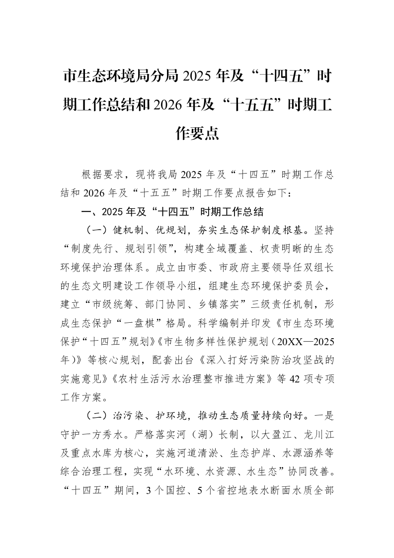 市生态环境局分局2025年及“十四五”时期工作总结和2026年及“十五五”时期工作要点_第1页