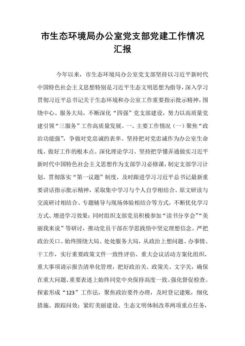 市生态环境局办公室党支部党建工作情况汇报_第1页