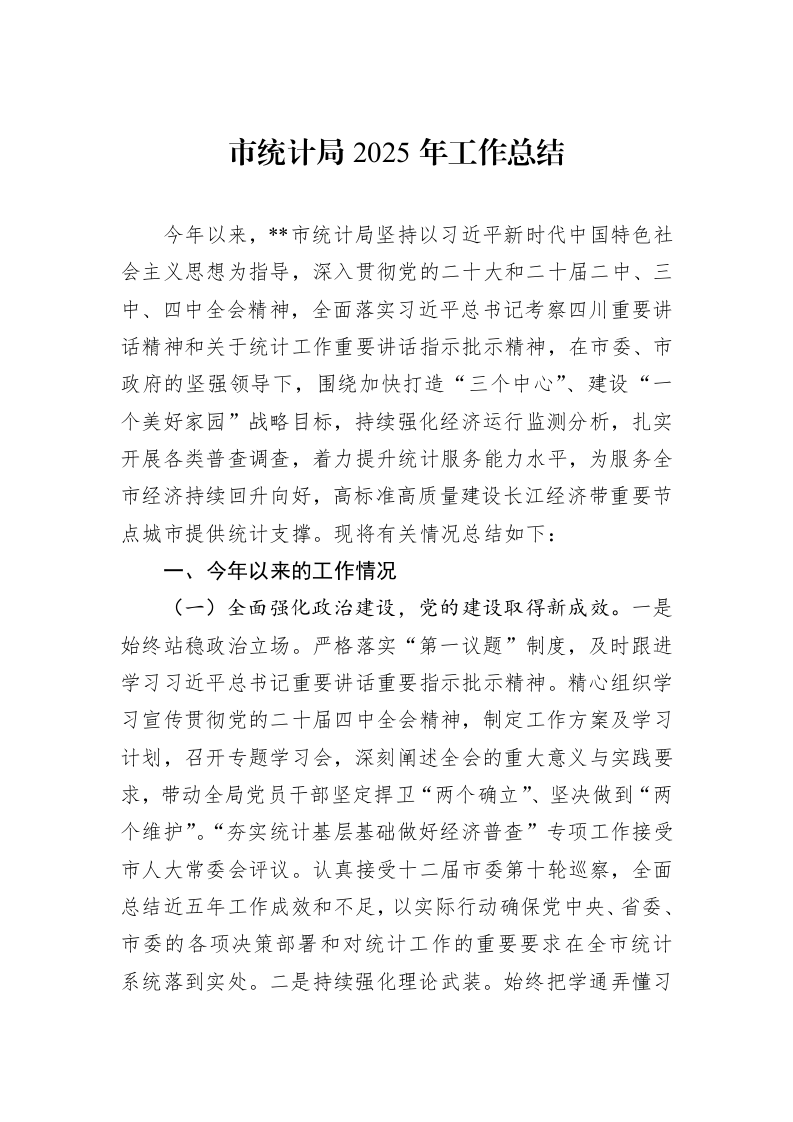 市统计局2025年工作总结_第1页