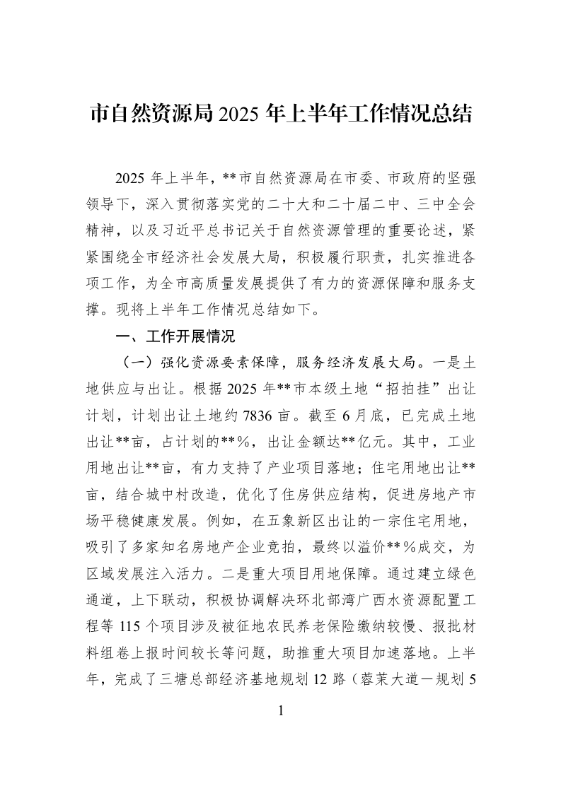 市自然资源局2025年上半年工作情况总结_第1页
