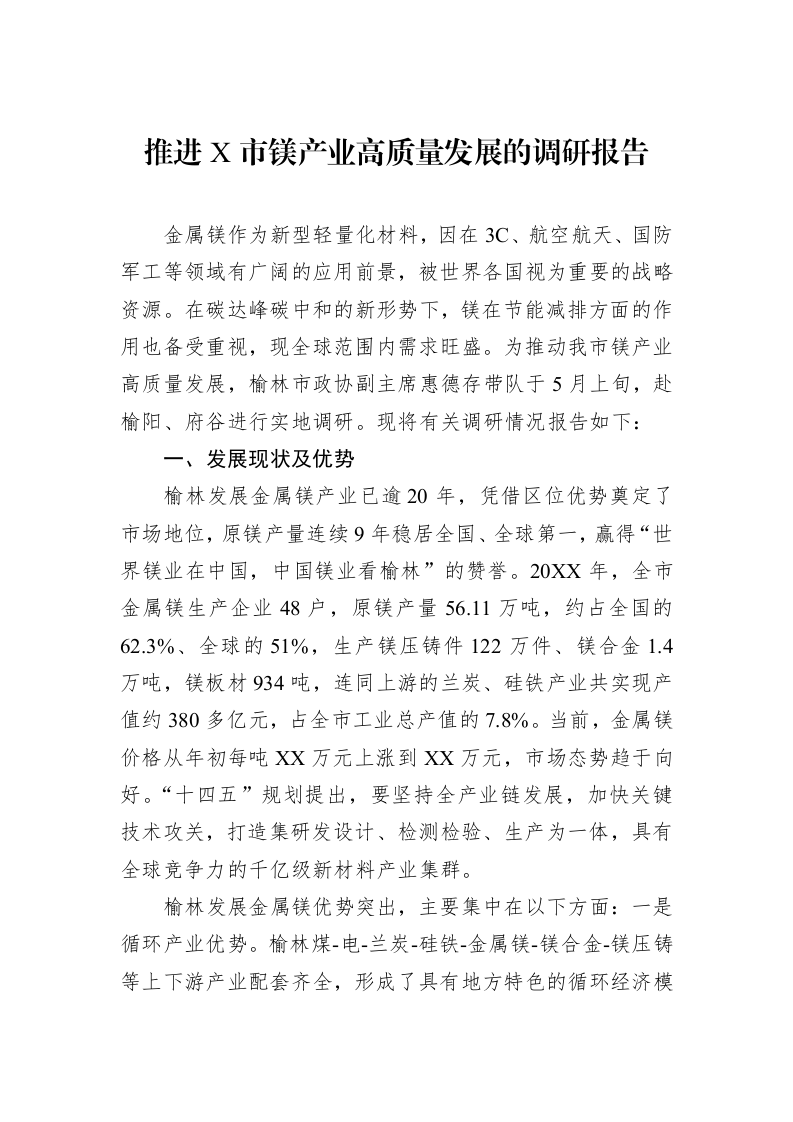 推进X市镁产业高质量发展的调研报告_第1页