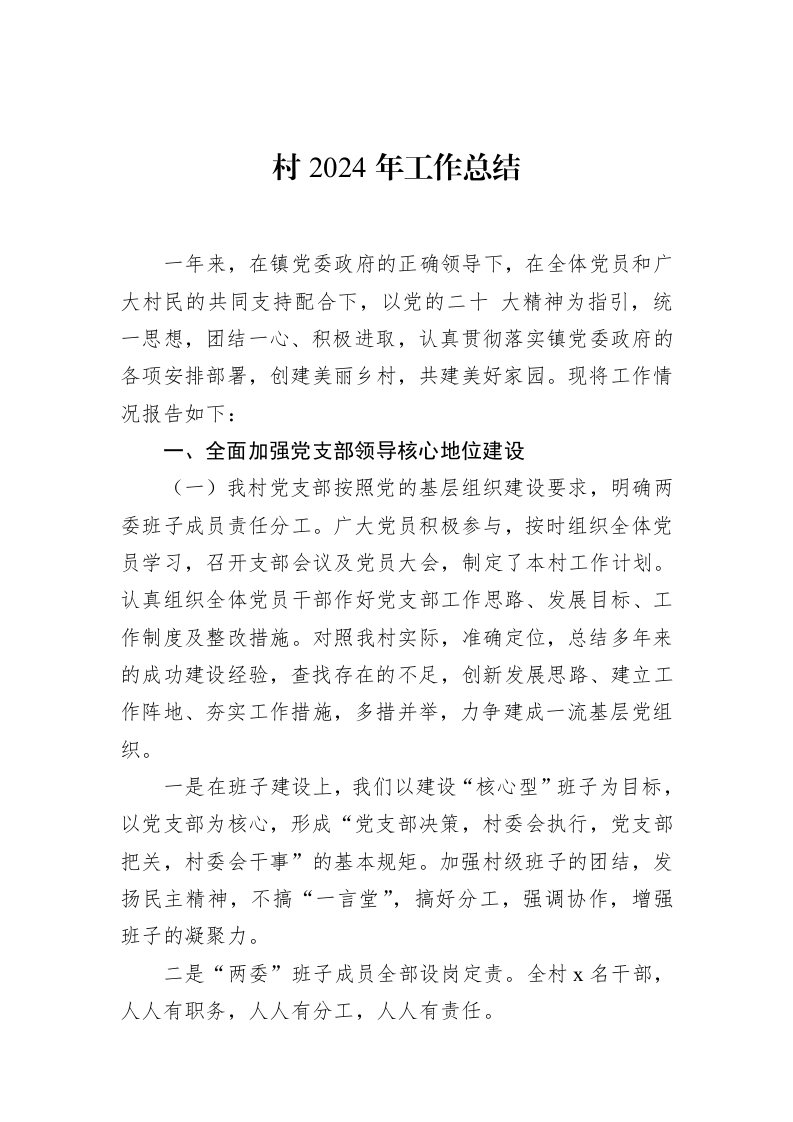 村2024年工作总结_第1页