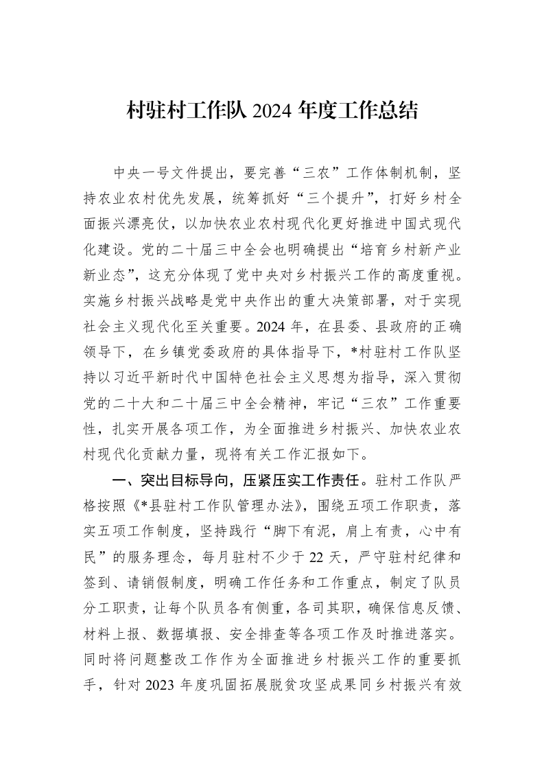 村驻村工作队2024年度工作总结（02-18）_第1页