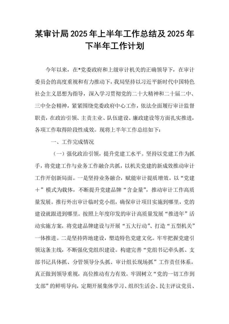 某审计局2025年上半年工作总结及2025年下半年工作计划_第1页