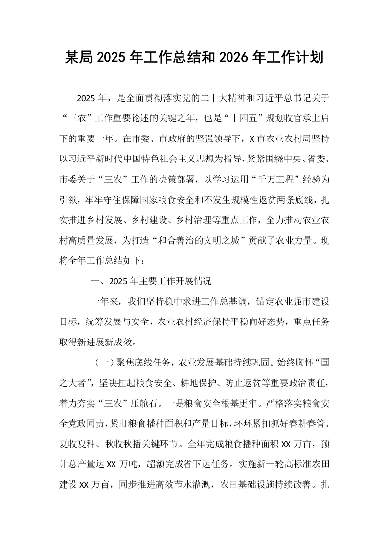 某局2025年工作总结和2026年工作计划_第1页