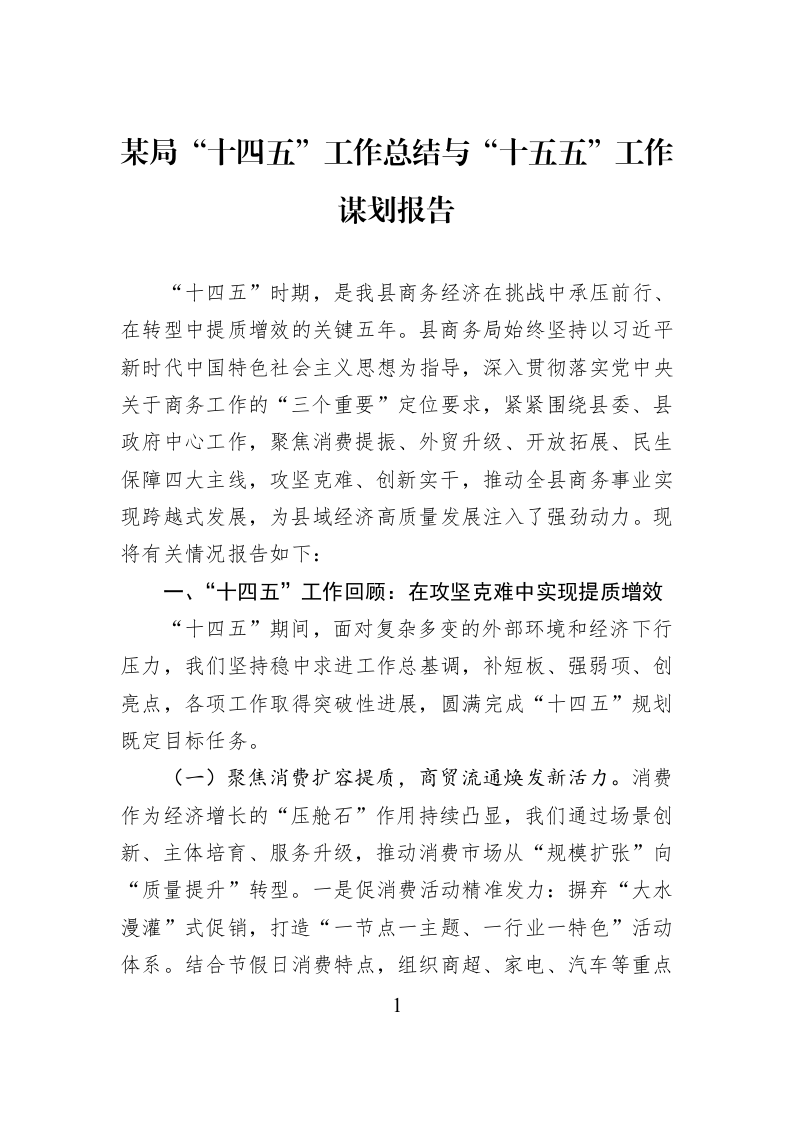 某局“十四五”工作总结与“十五五”工作谋划报告_第1页