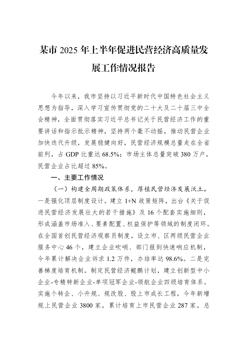 某市2025年上半年促进民营经济高质量发展工作情况报告_第1页