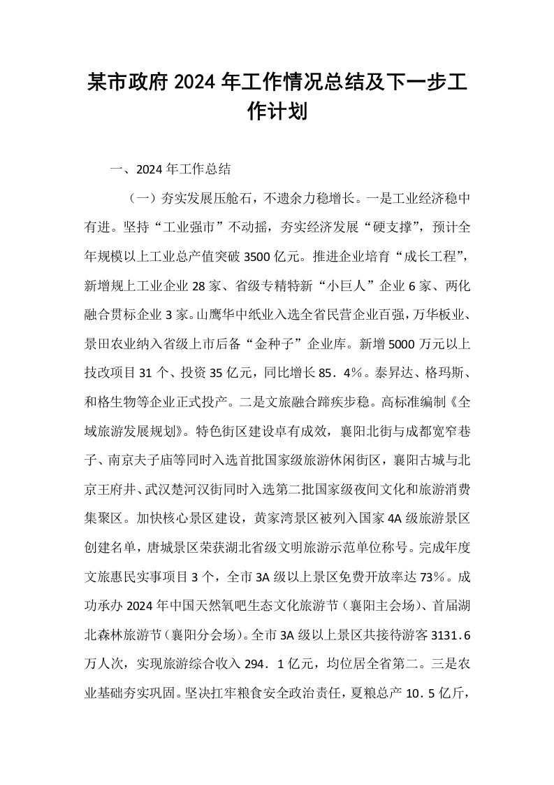 某市政府2024年工作情况总结及下一步工作计划._第1页