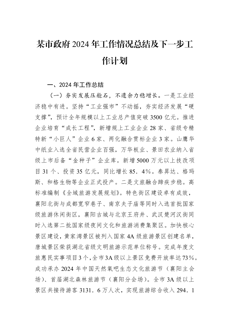 某市政府2024年工作情况总结及下一步工作计划_第1页