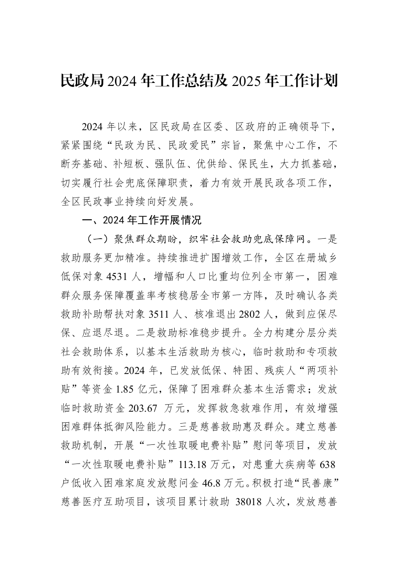 民政局2024年工作总结及2025年工作计划（02-19）_第1页