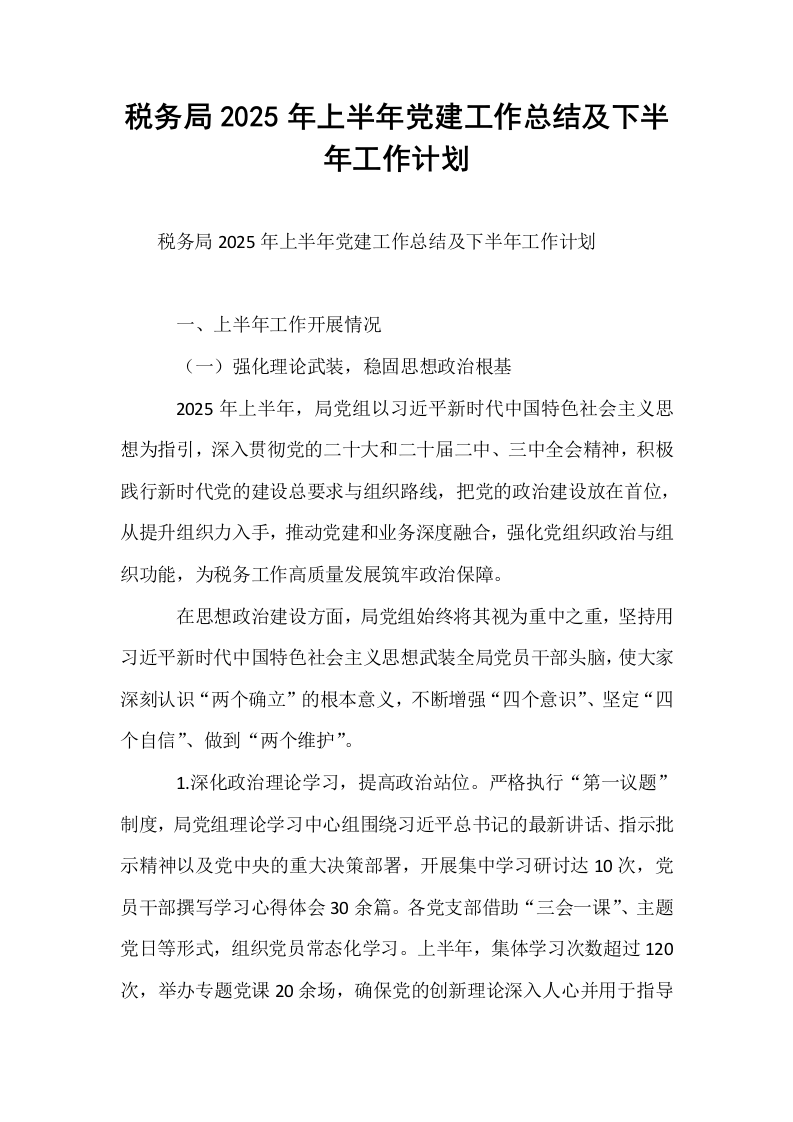税务局2025年上半年党建工作总结及下半年工作计划_第1页