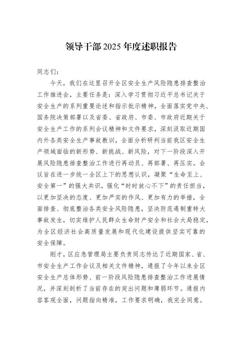 领导干部2025年度述职报告_第1页