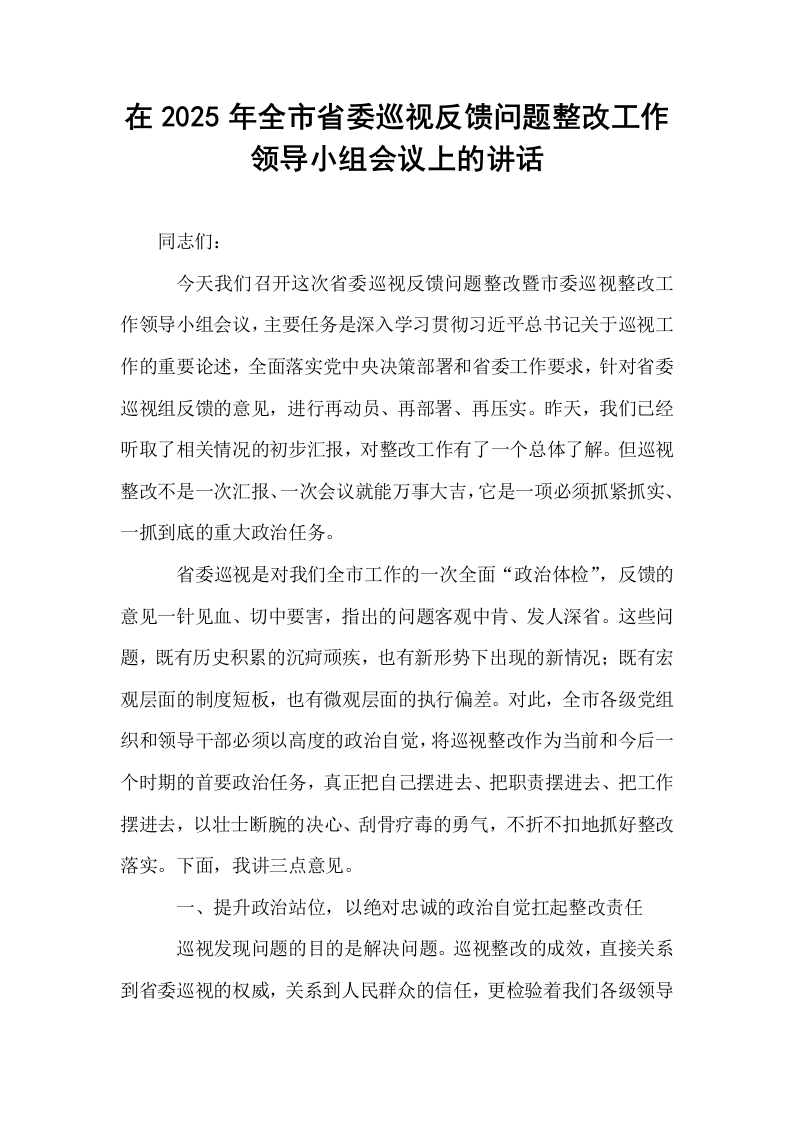 在2025年全市省委巡视反馈问题整改工作领导小组会议上的讲话_第1页