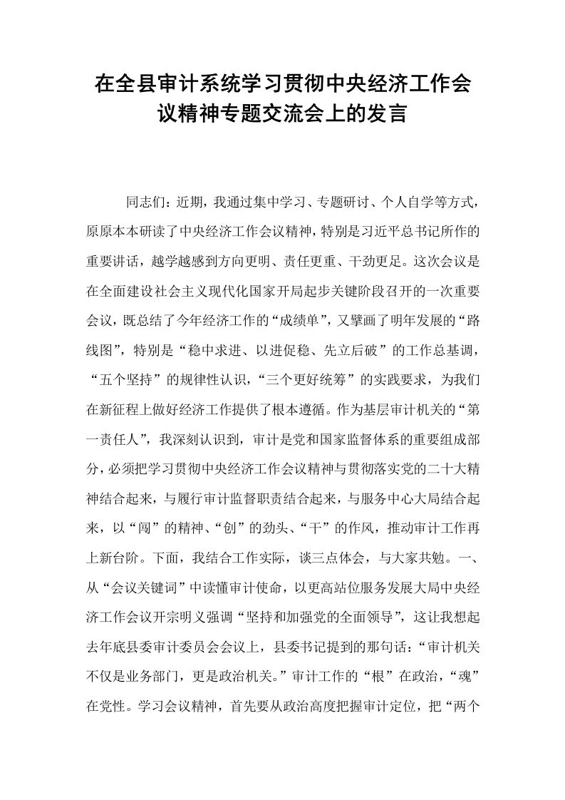 在全县审计系统学习贯彻中央经济工作会议精神专题交流会上的发言_第1页