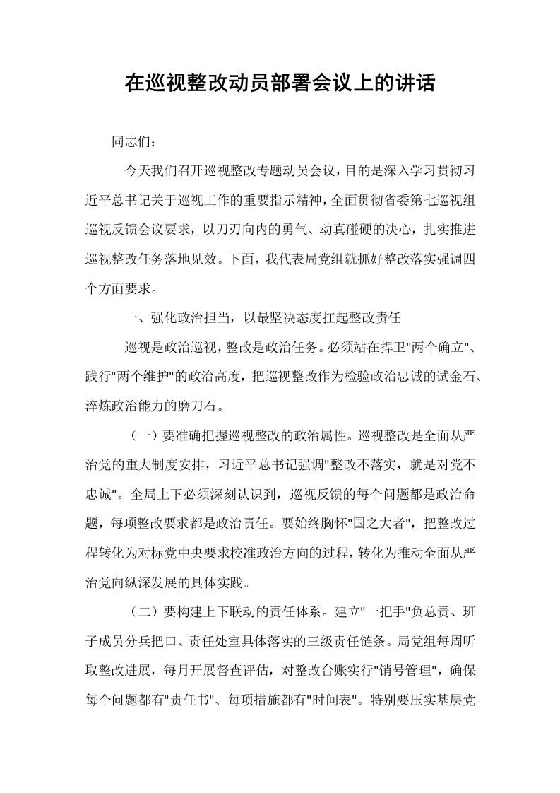 在巡视整改动员部署会议上的讲话_第1页