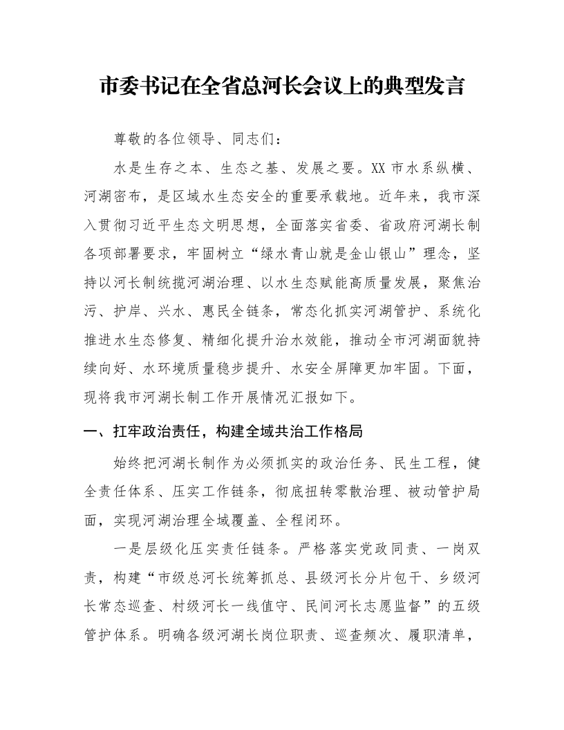 市委书记在全省总河长会议上的典型发言_第1页