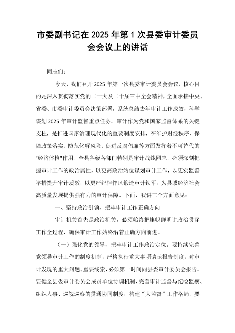 市委副书记在2025年第1次县委审计委员会会议上的讲话_第1页