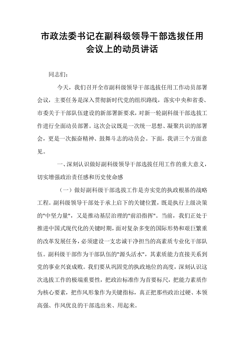 市政法委书记在副科级领导干部选拔任用会议上的动员讲话_第1页