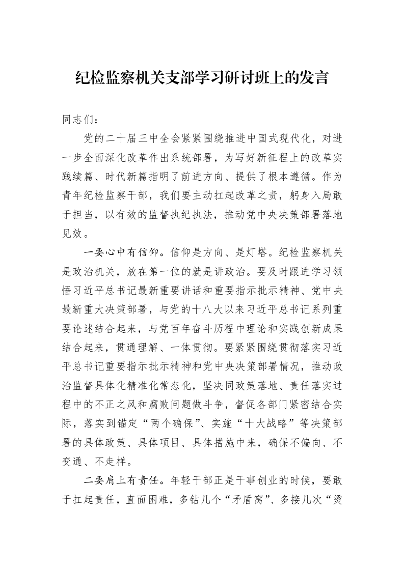 纪检监察机关支部学习研讨班上的发言_第1页