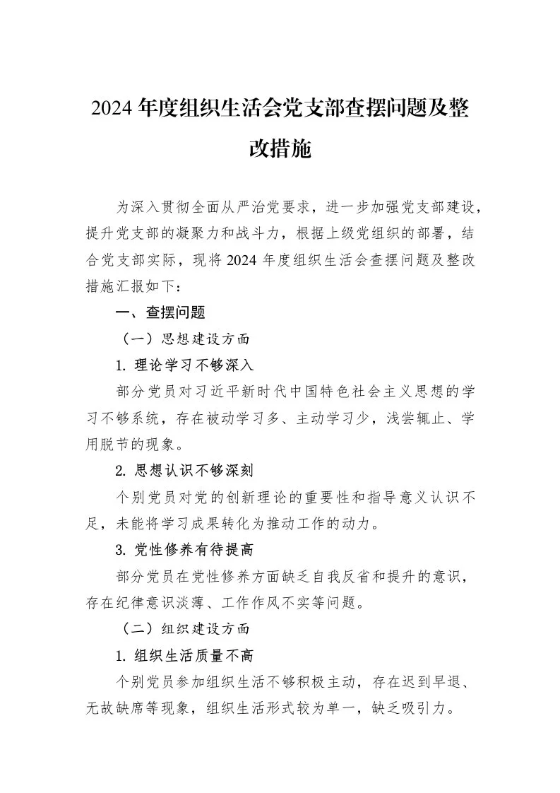 2024年度组织生活会党支部查摆问题及整改措施_第1页