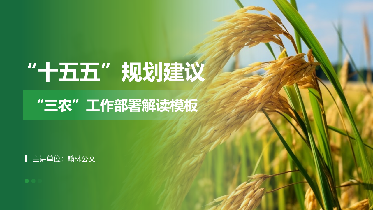 “十五五”规划建议三农工作部署解读模板PPT_第1页