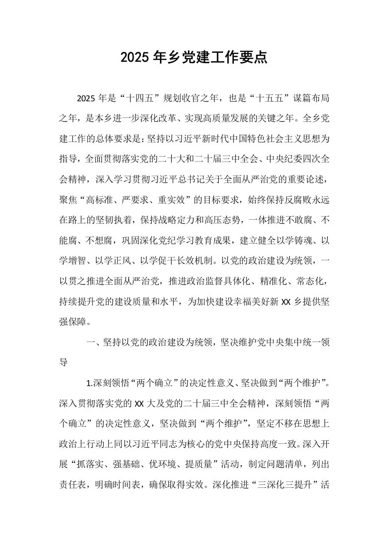 2025年乡党建工作要点_第1页