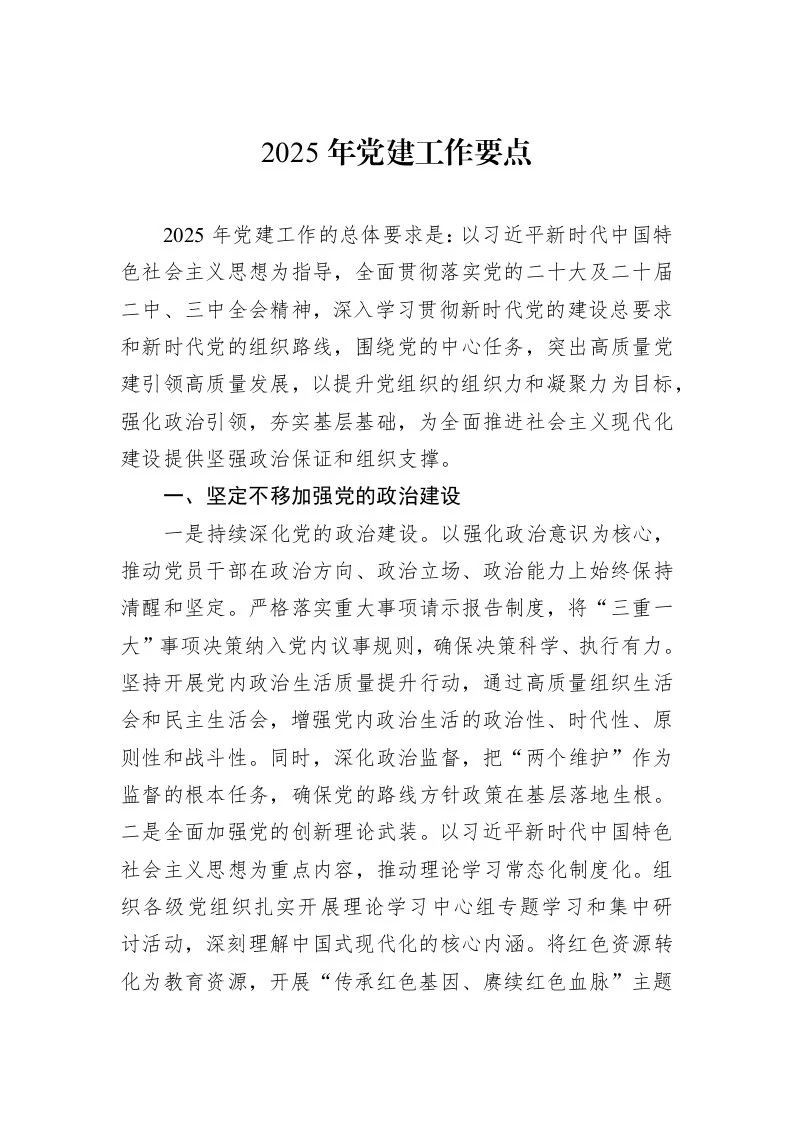 2025年党建工作要点_第1页