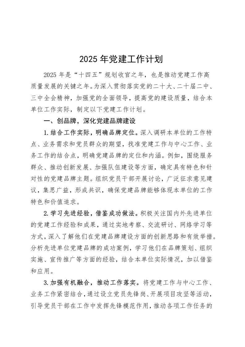 2025年党建工作计划20250101_第1页