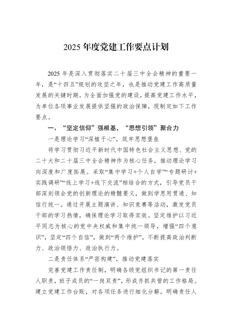 2025年度党建工作要点计划（02-18）_第1页