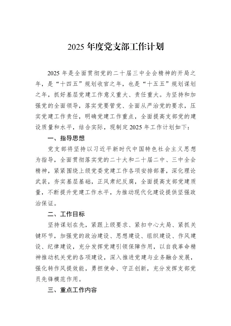 2025年度党支部工作计划（02-20）_第1页