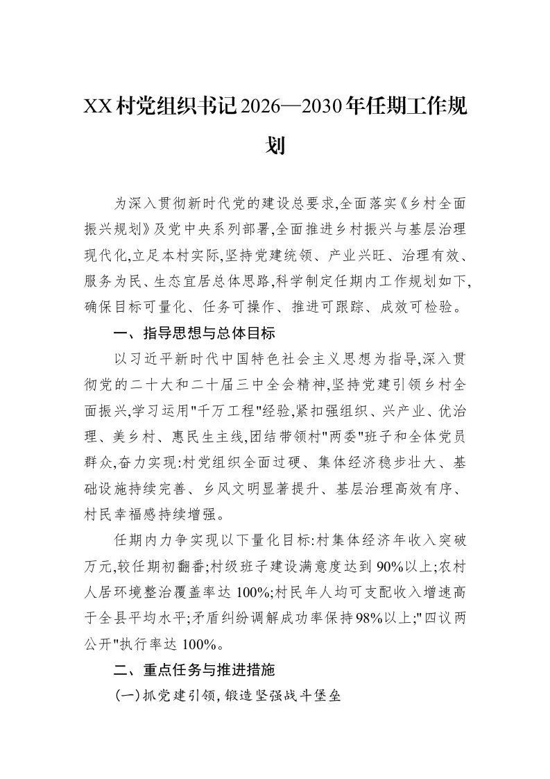 XX村党组织书记2026—2030年任期工作规划_第1页