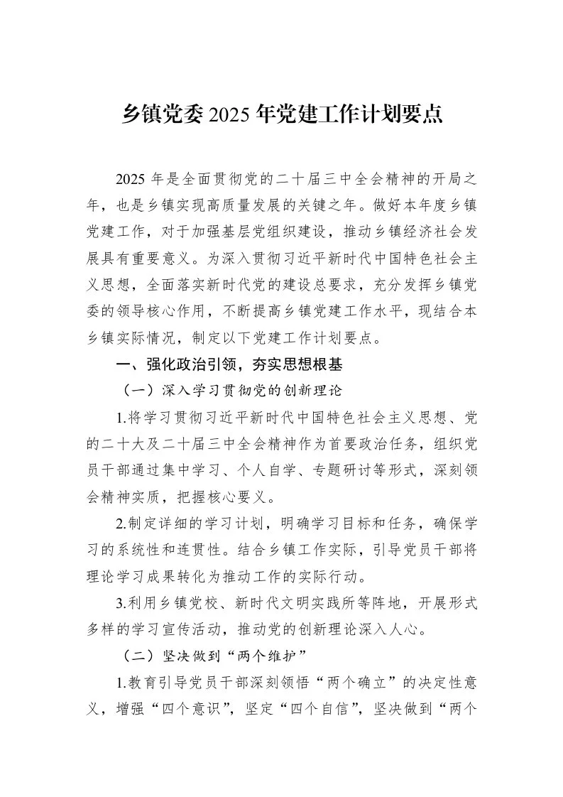 乡镇党委2025年党建工作计划要点（02-18）_第1页