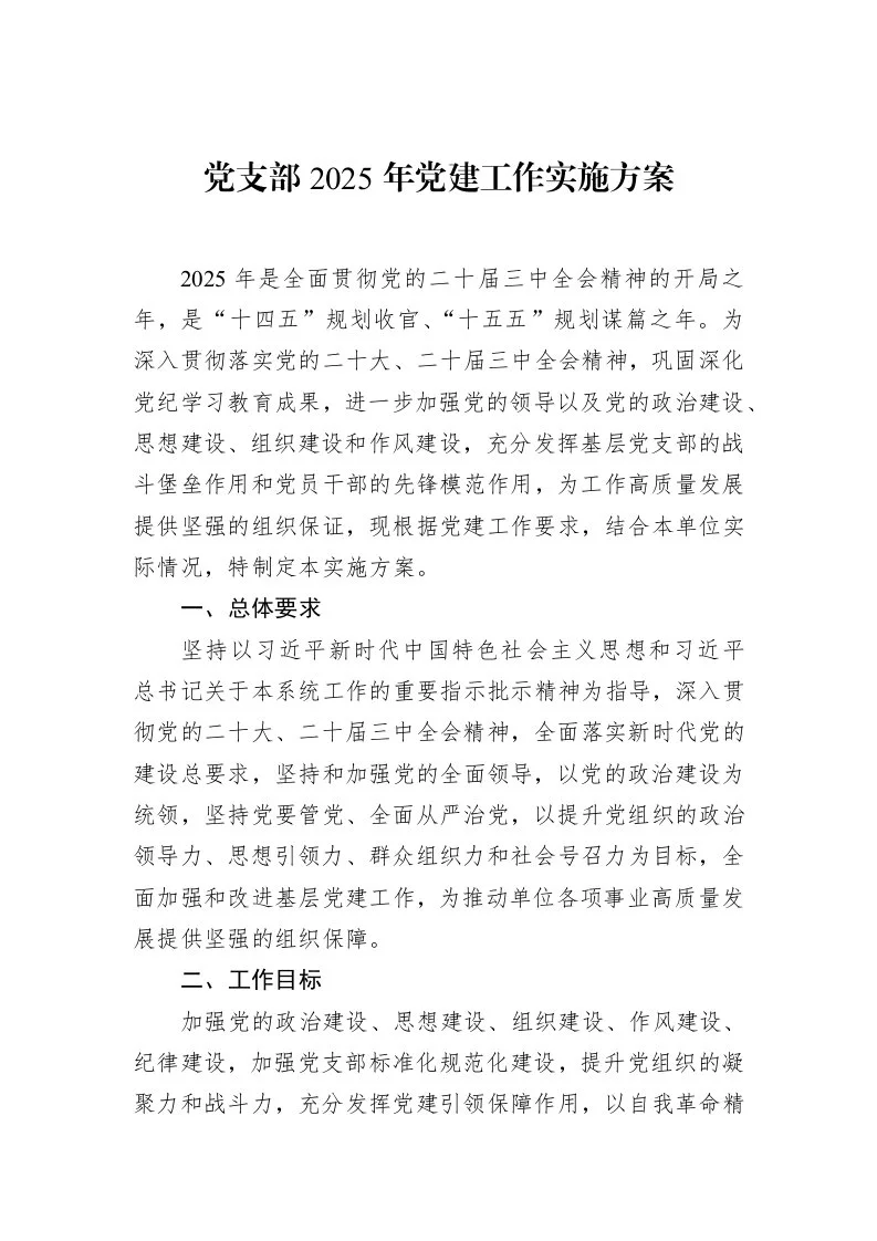 党支部2025年党建工作实施方案（02-19）_第1页